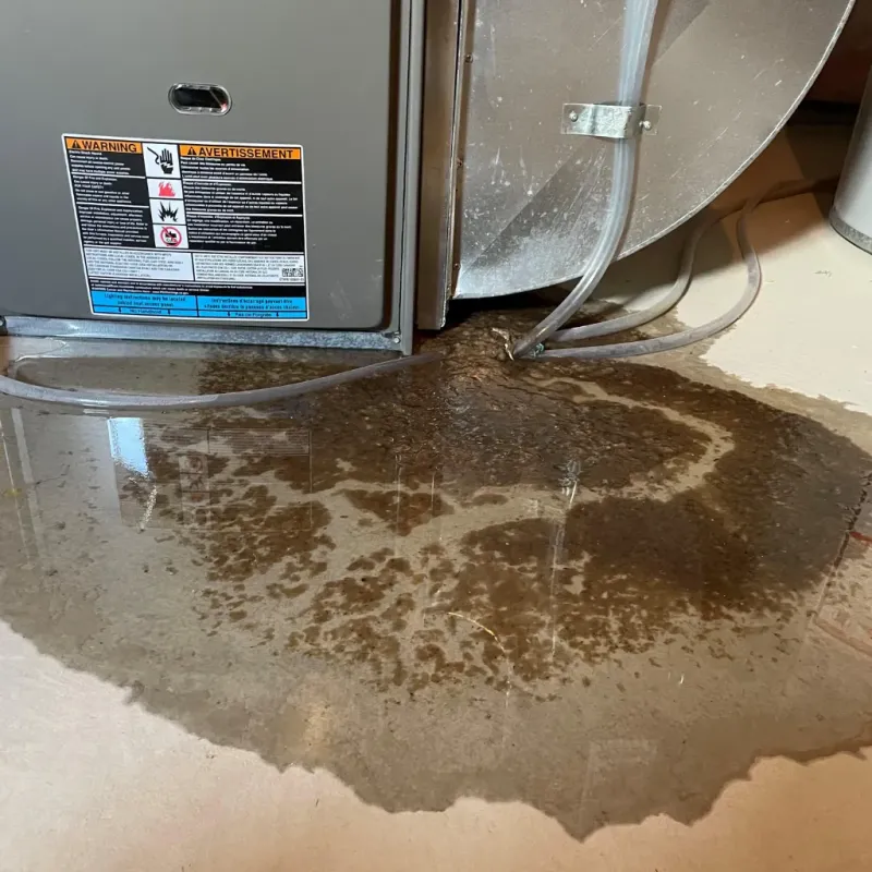 Appliance Leak Cleanup in Marlboro Meadows, MD